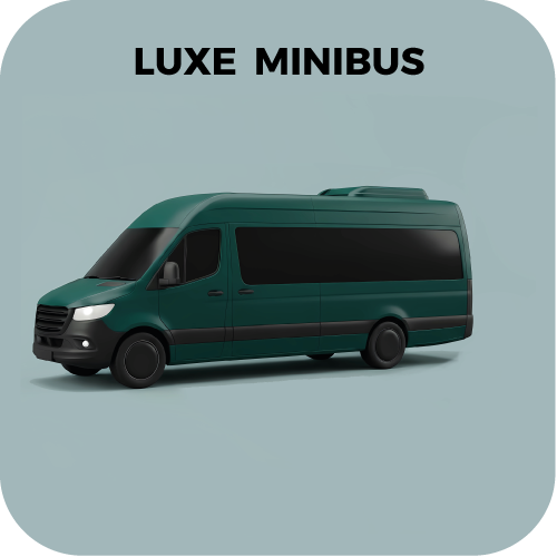 DriveMe minibus