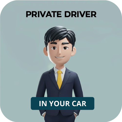 Private driver DriveMe